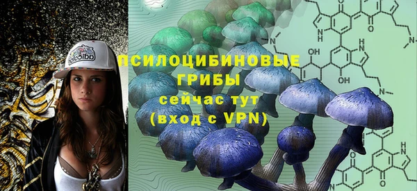 прущая мука Богородск