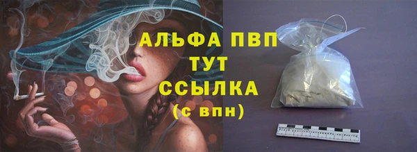 дмт Богданович
