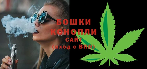 дмт Богданович