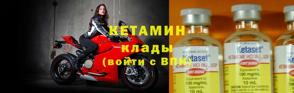 дмт Богданович