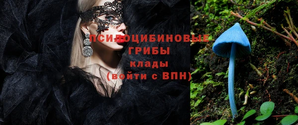 spice Бугульма