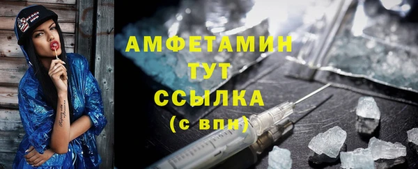 дмт Богданович