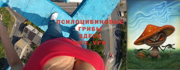 дмт Богданович