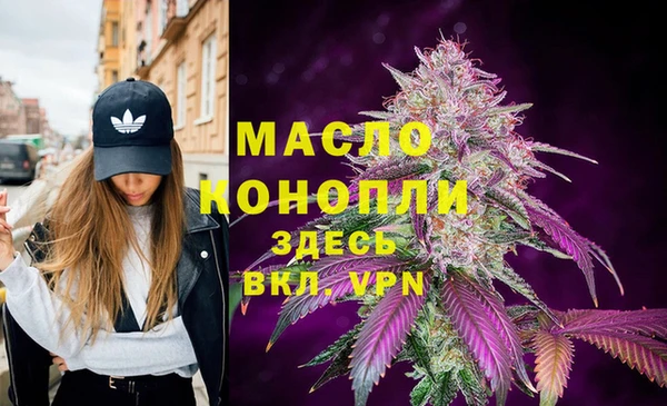 дмт Богданович